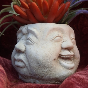May include: A white ceramic planter shaped like a face with multiple expressions, holding a red and green succulent plant.