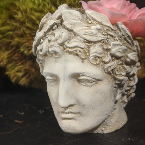 May include: A white plaster bust of a person with a detailed hairstyle. The bust is decorated with a pink flower.
