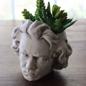 Beethoven Pot Head