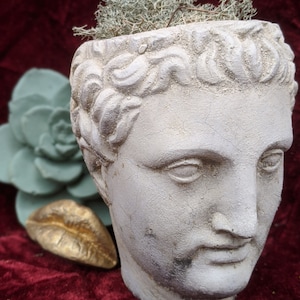 May include: A white plaster bust planter with a sculpted face and hair. The planter is filled with green moss.