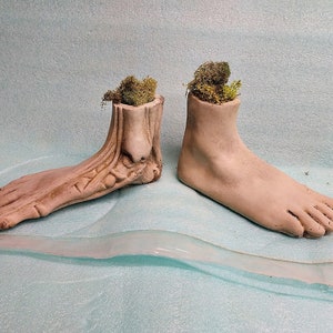 May include: Two concrete planters shaped like human feet, each with a small patch of green moss growing inside.