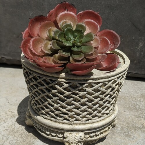 Nicole Basket