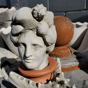 May include: A white ceramic sculpture of a woman's head with seashells for hair. The sculpture is on a terracotta pot with a white starfish.