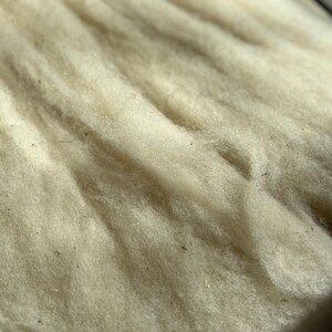 BFL Roving for Core Felting Projects