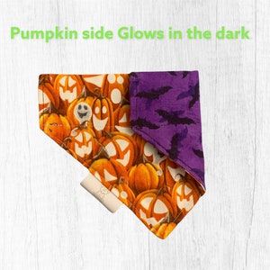 Halloween Glow in the Dark Moons with Bats Over the Collar Dog Bandana Small Halloween Glow in the Dark Moons with Bats Over the Collar Dog Bandana Small