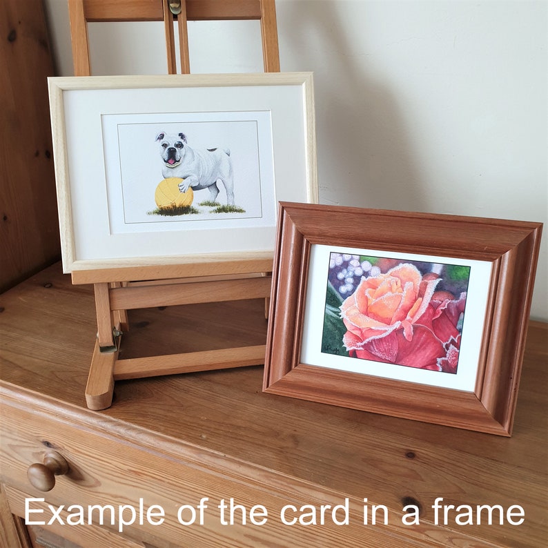 Duet of Bulldog with football and Bulldog Portrait Luxury blank greetings cardnotelet for use as A5 or A6 Poster Wall art gift.