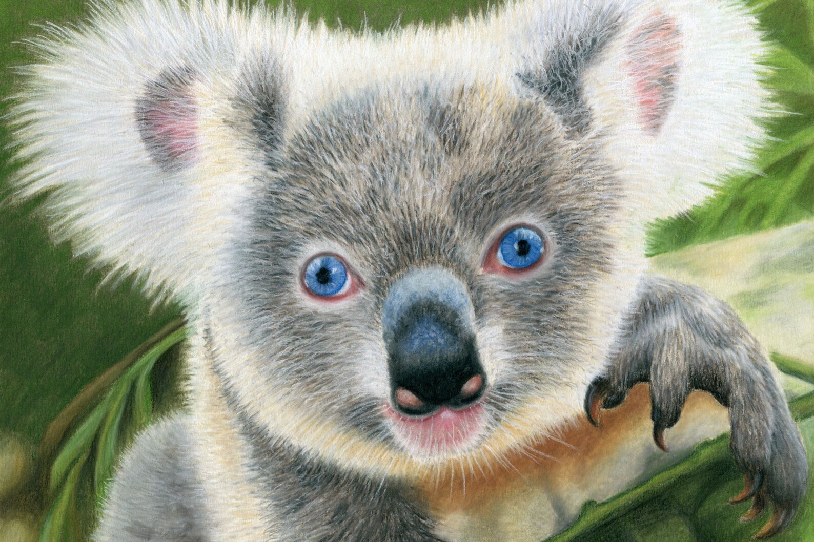 Koala Bear Wall Art High Quality Art Print of This Beautiful Etsy