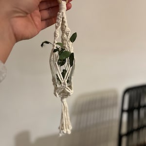 Könnte beinhalten: Ein weißer Makramee-Pflanzenhänger mit einer kleinen Glasvase und grünen Blättern. Der Hänger ist aus Baumwollschnur gefertigt und hat oben einen Holzring.