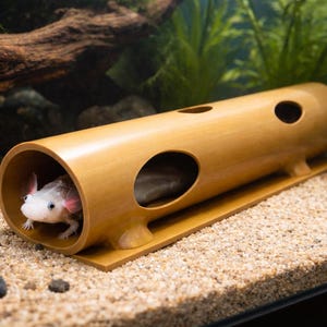 Peut inclure: Un abri pour axolotl de couleur marron clair, de forme cylindrique avec des ouvertures, posé sur une base jaune dans un aquarium. Un axolotl blanc et rose est visible à l'intérieur. Le fond présente des plantes et des roches.