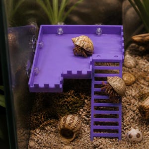 Hermit Crab Observation Deck with Ladder. Elevated Tank Platform for Natural Habitat. Strong Suction Cups Included. Hermit Crab Accessories.