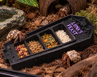Plato personalizado para cangrejo ermitaño gótico. Bandeja para comida con forma de ataúd y 4 compartimentos. Nombre personalizado. Decoración de Halloween. Accesorio espeluznante para cangrejo ermitaño.
