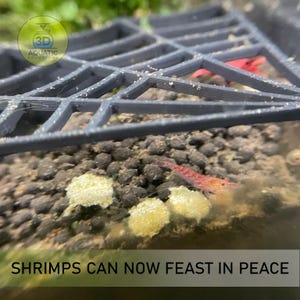 May include: A black 3D printed mesh food guard for an aquarium, with the text "3D AQUATIC SOLUTIONS" on the side. The guard is placed over a bed of dark gravel with a red shrimp and white shrimp eggs visible underneath.