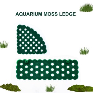 Peut inclure: Deux supports en plastique vert pour mousse d'aquarium. Le support du haut est de forme triangulaire et le support du bas est de forme rectangulaire. Les deux supports ont une grille de petits trous pour fixer la mousse.