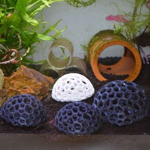 Aquarium Shrimp Dome Decor. Shrimp Home Hide Out, Moss Holder, Aquarium Dome, Shelter for Shrimps to Hide, Aquarium Safe Plastic.