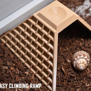 Pyramid Hideout for Hermit Crabs. Hermit Crabs Climbing Wall. Natural Climbing & Exploration. Hiding Corner For Hermit Crabs.