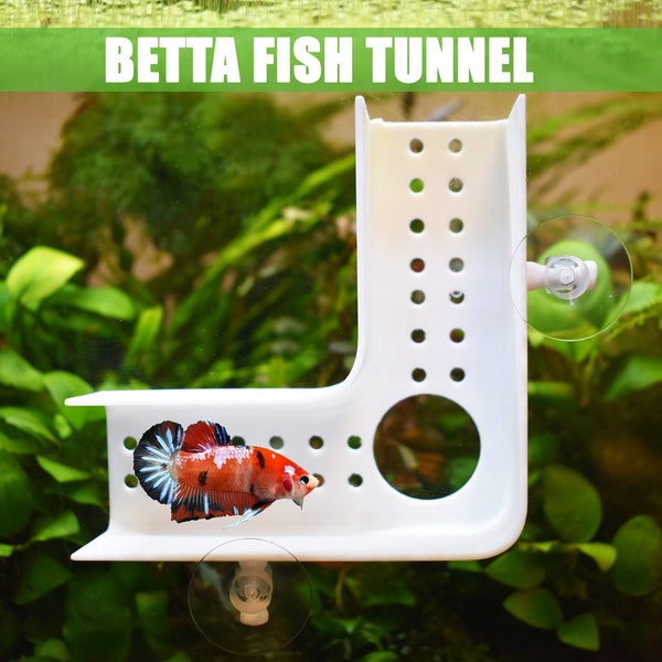 Newly Designed Betta Play Tunnel. A Hideout for Betta Fish to Chill and Sleep. Fun Activities For Your Fish. Betta Bed Resting Tube.