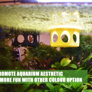 Floating Gazebo Shrimp Feeder | Aquatic Dining Experience | Promote Healthy Fish and Shrimp Diets | Fast Shipping in North America.