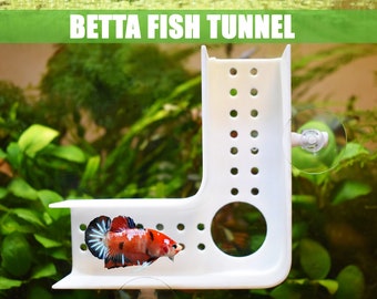 Túnel Betta Play de nuevo diseño. Un escondite para que los peces Betta se relajen y duerman. Actividades divertidas para tus peces. Tubo de descanso en cama Betta.