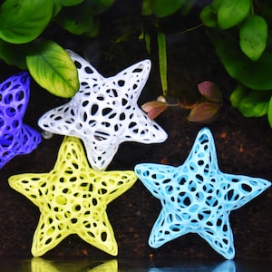 Aquarium Starfish Shrimp Dome Decor. Shrimp Home Hide Out. Starfish Shrimp Dome. Shelter for Shrimps to Hide. Aquarium Safe Plastic.