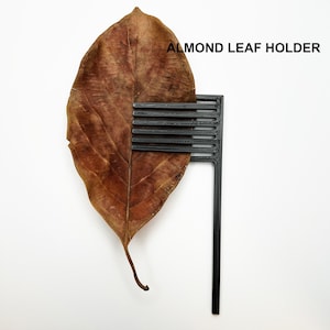 Könnte beinhalten: Ein schwarzer 3D-gedruckter Blatthalter mit dem Text "ALMOND LEAF HOLDER" auf der Oberseite. Ein getrocknetes braunes Blatt wird im Halter gehalten.
