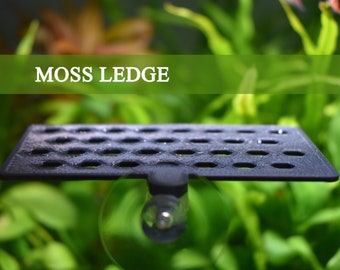 Aquarium Moss Ledge Holder, Compatible with All Types of Mosses & Aquarium Plants, Aquarium Decor, Beta Fish Hammock, Aquarium Safe Plastic.