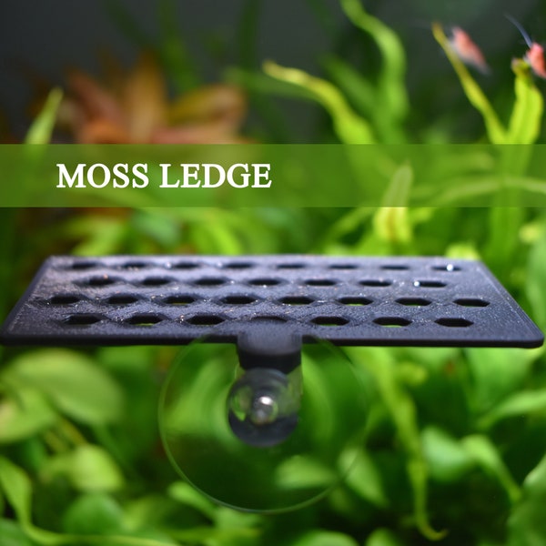 Aquarium Moss Ledge Holder, Compatible with All Types of Mosses & Aquarium Plants, Aquarium Decor, Beta Fish Hammock, Aquarium Safe Plastic.