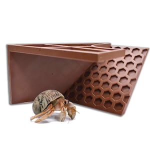 Túnel subterráneo para cangrejos ermitaños. Rincón de refugio con rampa para escalar. Diseñado con bandeja de comida 4 en 1. Accesorios para acuarios de cangrejos ermitaños.