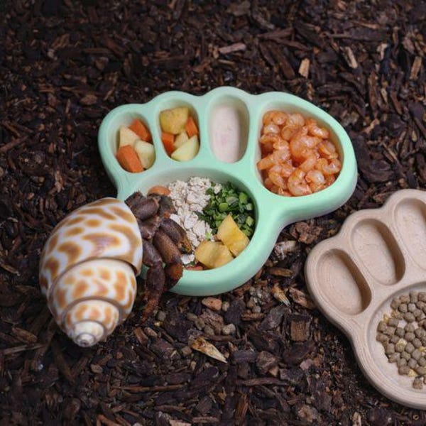 Hermit Crab Footprint Feeding Dish. 5-Slot Mini Feeding Dish. 4x3in Hermit Crab Food Tray.