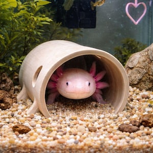 Tronco natural para ajolotes gigantes: el escondite perfecto para coriáceos, plecos y ajolotes. Túnel que imita su hábitat natural para explorar y esconderse.