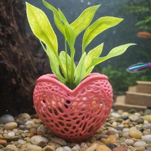Aquarium Plant Pot Heart Shape. Pot for For Aquatic Plants. Promoting Healthy Root Growth. Fish Tank Aesthetic. Fast Shipping From Canada.