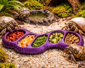 Hermit Crab Earth Worm Feeding Dish. 5-Slot Mini Feeding Dish. Hermit Crab Food Tray.