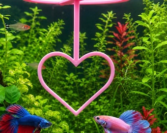 Happy Valentine's Day Betta Active Training Ring. Betta Excercise Entertainment Loop. Fun Activities for Fish. Keep Them Busy Training Ring.