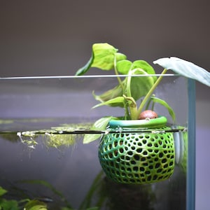 May include: A green, perforated plant holder floats in an aquarium. The holder has a circular top and a spherical body. A small plant with green leaves and a brown seed is inside the holder. The aquarium water is clear.
