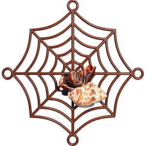 May include: A brown, spiderweb-shaped wall hanging with a hermit crab and shell in the center. The crab is reddish-brown, and the shell is white with orange spots. The web has four circular hanging points.