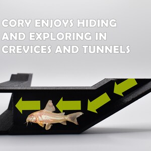 Cory Chilling Corner Underground Tunnel, Unleash Natural Behaviors with a Corydoras Tunnel, Corydoras Lover, Fast Shipping from Canada