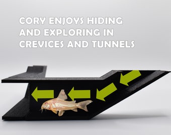 Cory Chilling Corner Underground Tunnel, Unleash Natural Behaviors with a Corydoras Tunnel, Corydoras Lover, Fast Shipping from Canada