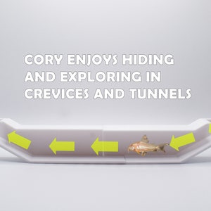 Extended Underground Tunnel For Cory Chilling. Unleash Natural Behaviors with a Corydoras Tunnel. Corydoras Lover. Fast Shipping from Canada