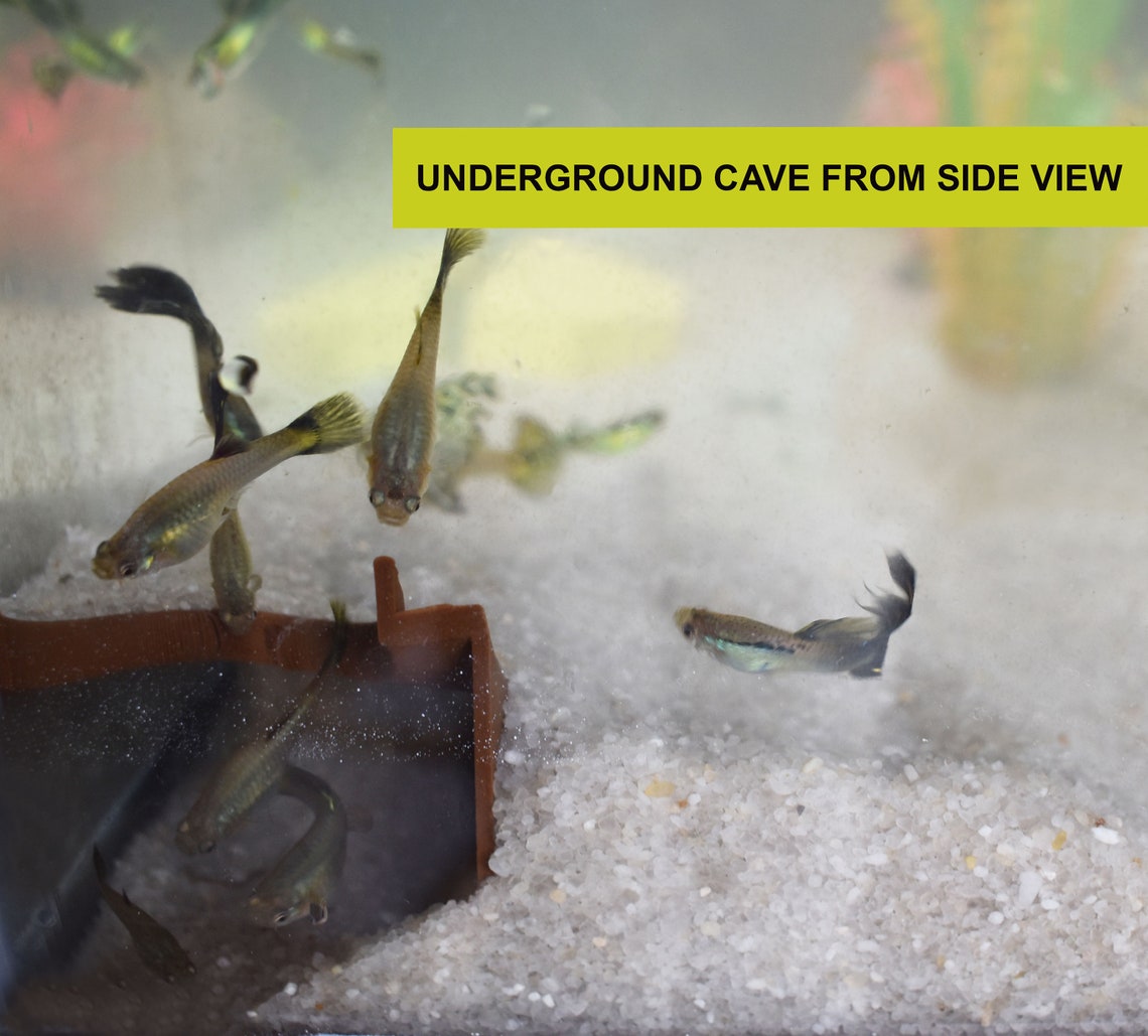 Underground Fish Underground Fish and Shrimp Corner Tunnel. 3D Printed Cave for Shrimp ...
