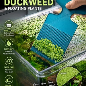 May include: A teal aquarium tool removes duckweed and floating plants from a glass tank. The tool has a wide comb design and is labeled "Easy Remove Duckweed & Floating Plants." The image includes a before and after comparison of the tank.