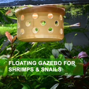 May include: A tan, cylindrical floating gazebo for shrimp and snails, with evenly spaced circular holes. The text "FLOATING GAZEBO FOR SHRIMPS & SNAILS" is displayed in white letters on a green background.