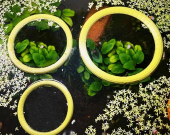 Aquarium Fish Feeding Ring, Duckweed Floater Organizer | Fish Feeding Floater | Aquarium Fish Tank Decor | Made in Canada and Fast Shipping.
