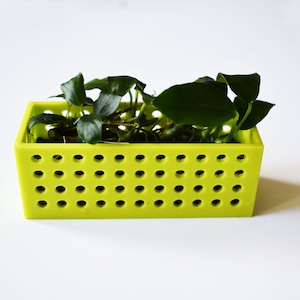 May include: A lime green plastic planter with a grid of holes. The planter is filled with green plants.