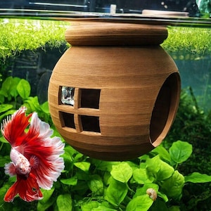 Casa galleggiante per pesci Betta. Nascondiglio galleggiante per acquario per pesci Betta. Casa galleggiante per pesci Betta. Amaca per acquario per pesci Betta, per rilassarsi ed esplorare.