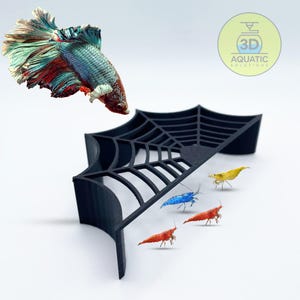 May include: A black 3D printed spider web shaped fish tank decoration with a betta fish swimming above it. Four small shrimp are swimming below the web, one is yellow, one is blue, and two are red.