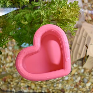 May include: A pink heart-shaped aquarium feeding dish. The dish is floating in water, surrounded by small pebbles and green aquatic plants. The dish has a smooth, rounded design and is filled with water.