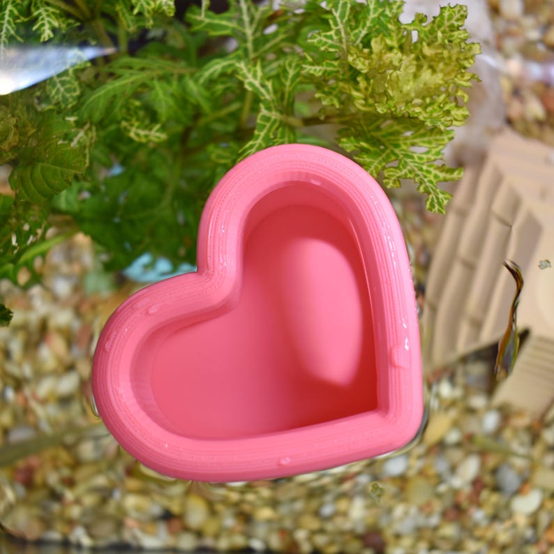 May include: A pink heart-shaped aquarium feeding dish. The dish is floating in water, surrounded by small pebbles and green aquatic plants. The dish has a smooth, rounded design and is filled with water.