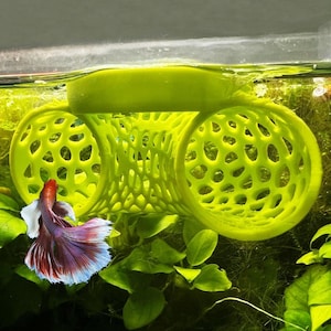 Schwimmender Betta Tunnel für Betta Training. Schwimmende Betta Tube. Floating Betta Hide für Betta Stressabbau. Spaßtraining und beschäftigt halten.