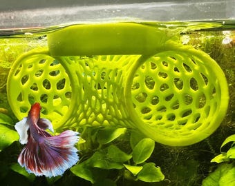 Floating Betta Tunnel For Betta Training. Floating Betta Tube. Floating Betta Hide For Betta Stress Relief. Fun Training and Keep Them Busy.
