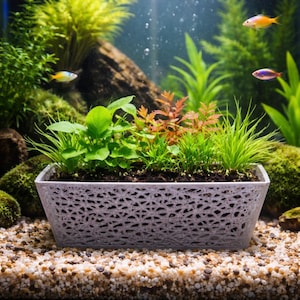 Może przedstawiać: Prostokątna, szara donica z dekoracyjnym ażurowym wzorem, wypełniona różnymi zielonymi i czerwonymi roślinami wodnymi. Donica stoi na podłożu z małych kamyków w akwarium, z kilkoma małymi, kolorowymi rybami pływającymi w tle.