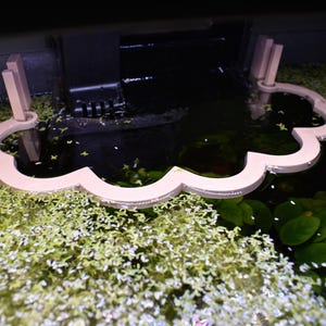 Puede incluir: Un corral flotante para plantas de acuario en forma de nube de color rosa claro, con bordes festoneados y dos postes de soporte verticales, colocado en la superficie del agua para contener plantas acu&aacute;ticas cerca de un filtro negro.